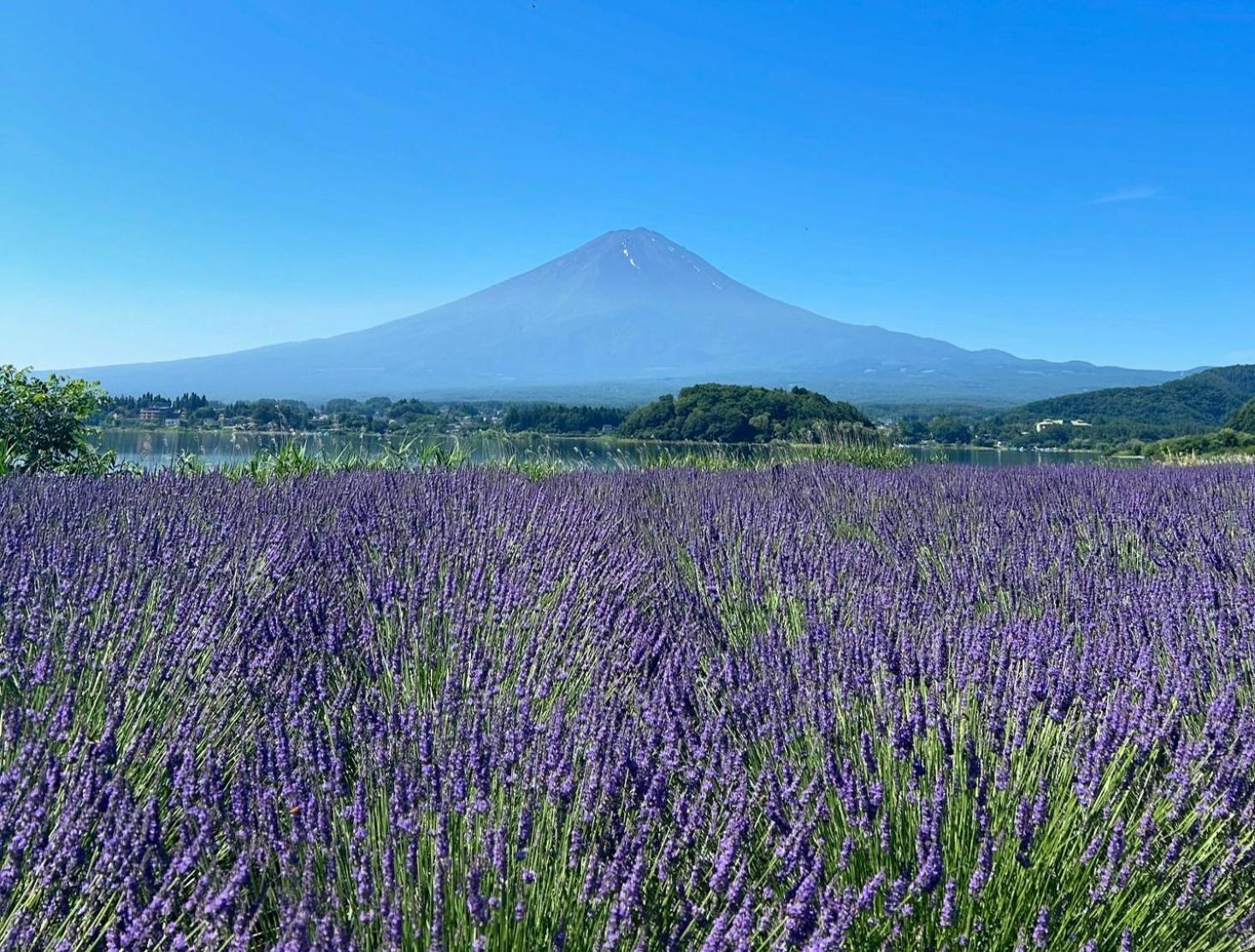 Holiday Home Furinkazan 風林火山 Фудзі-Каваґутіко Екстер'єр фото